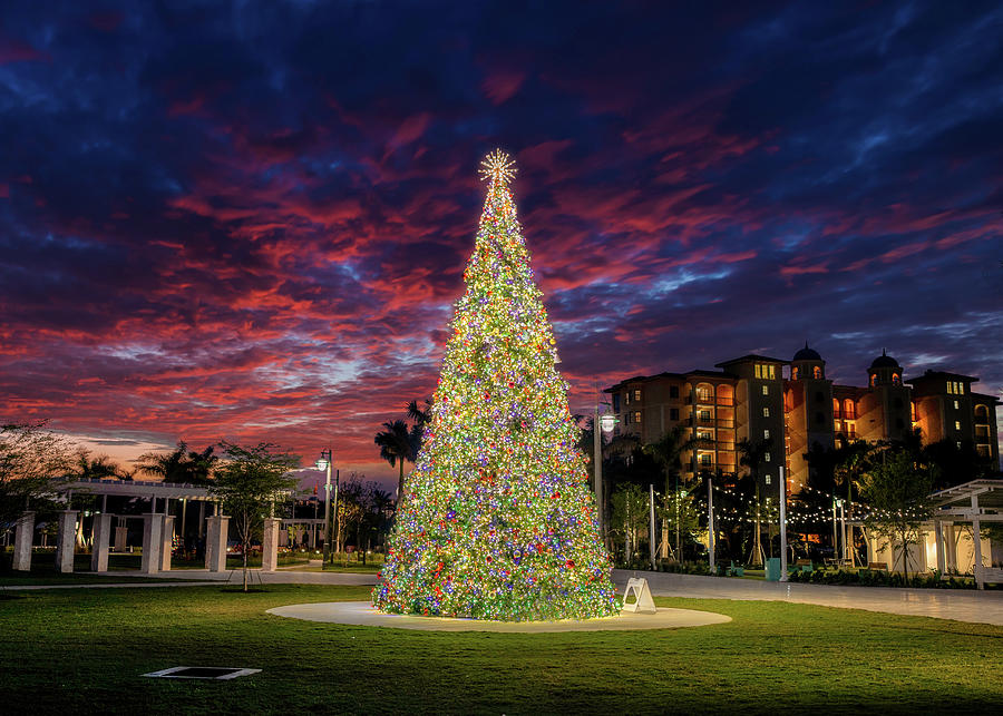 Marco Island Christmas Photograph by Joey Waves Fine Art America