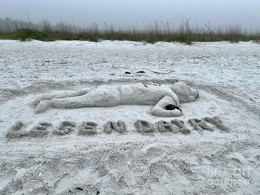 Marco Island Sand Cow - Legendairy Photograph by Judee Stalmack - Pixels