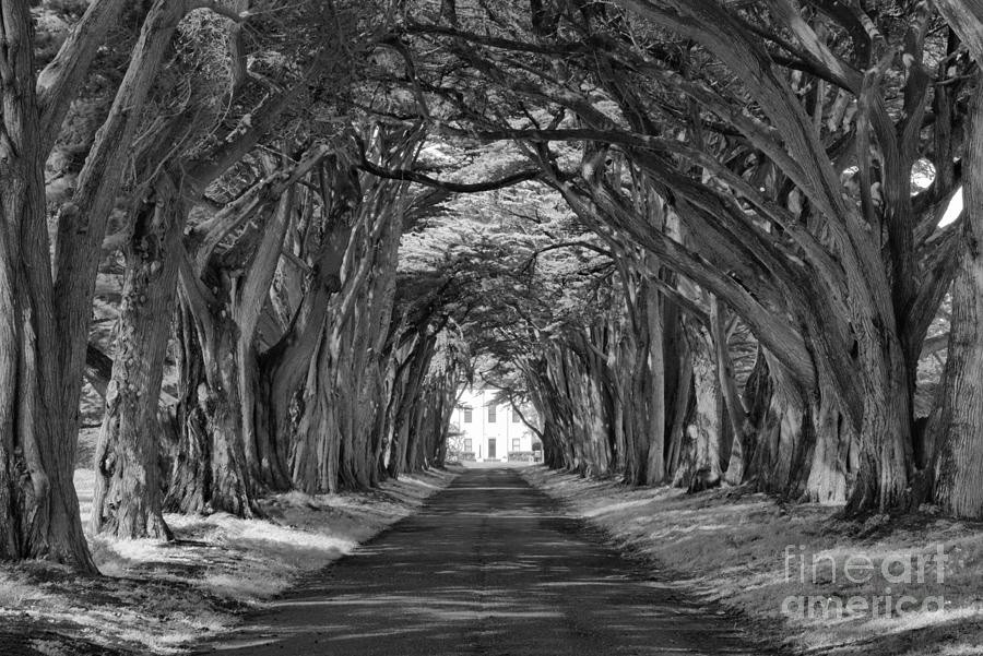 Marconi RCA Wireless Cypress Tunnel Black And White Photograph by Adam Jewell