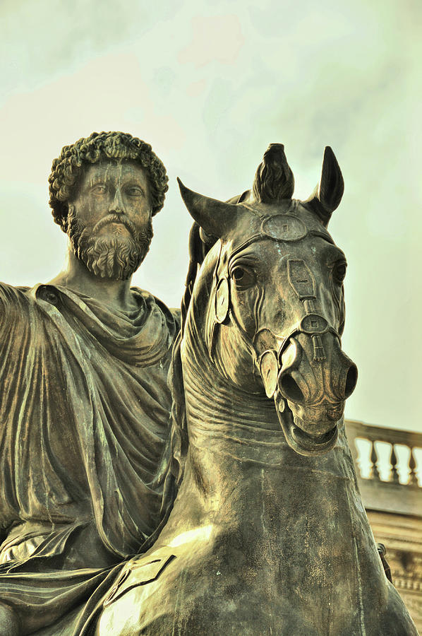 Marcus Aurelius Photograph by Dressage Design