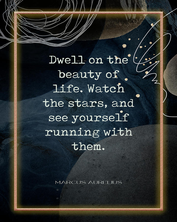 Marcus Aurelius Dwell On the Beauty of Life Quote  Photograph by Georgia Clare