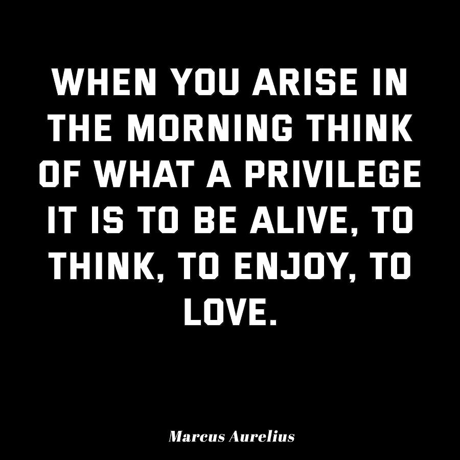 Marcus Aurelius Stoic Quotes Privilege to be Painting by Harris Davies ...