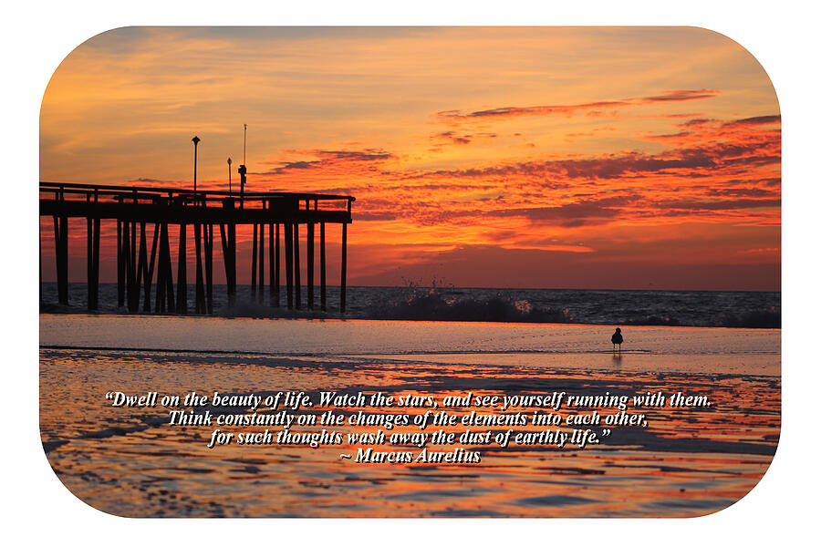 Marcus Aurelius v2 Dwell On The Beauty Photograph by Robert Banach Marcus Aurelius v2 Dwell On The Beauty Photograph by Robert Banach