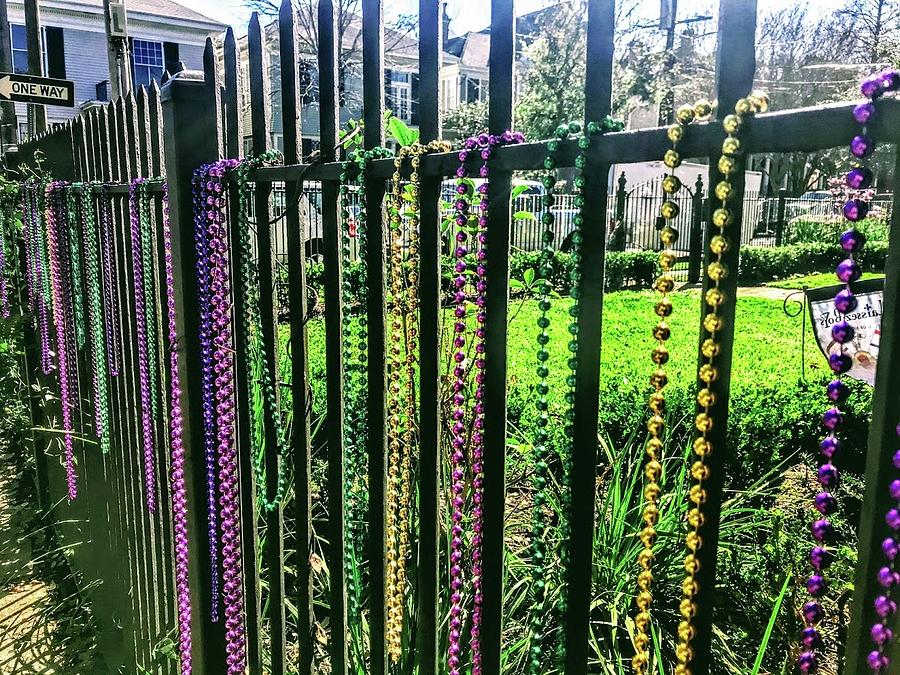 Mardi Gras Fence Photograph by Girl Harper - Fine Art America