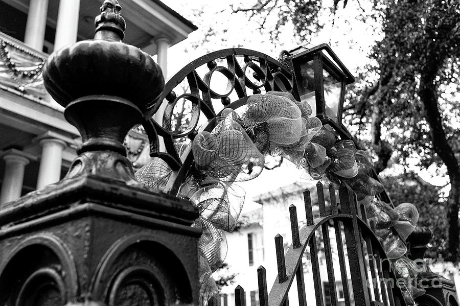 Mardi Gras Gate New Orleans Photograph by John Rizzuto
