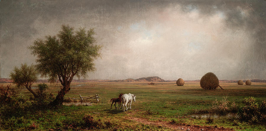 Mare and Colt in a Marsh  Painting by Martin Johnson Heade