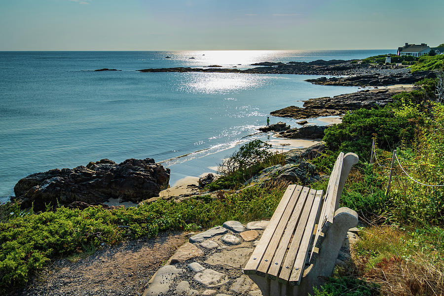 Marginal Way path along the Maine Coast in Ogunquit Photograph by Ann Moore
