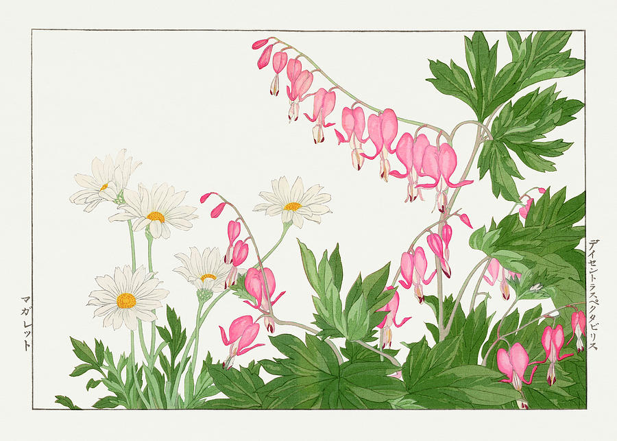 Marguriete Flower - Ukiyo e art - Vintage Japanese woodblock art - Seiyo SOKA ZUFU by Tanigami Konan Digital Art by Studio Grafiikka