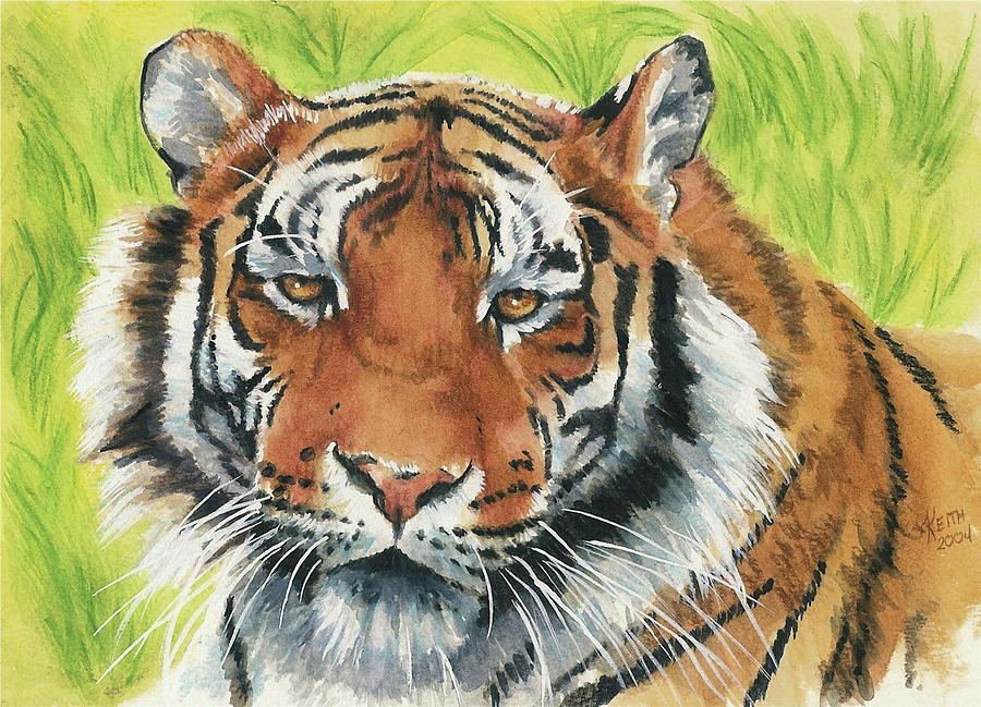 Wildlife Painting - Mariah by Barbara Keith