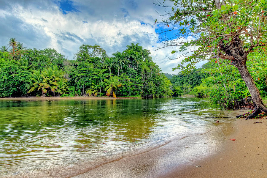 Marianne River, Blanchisseuse, Trinidad Photograph by Nadia Sanowar