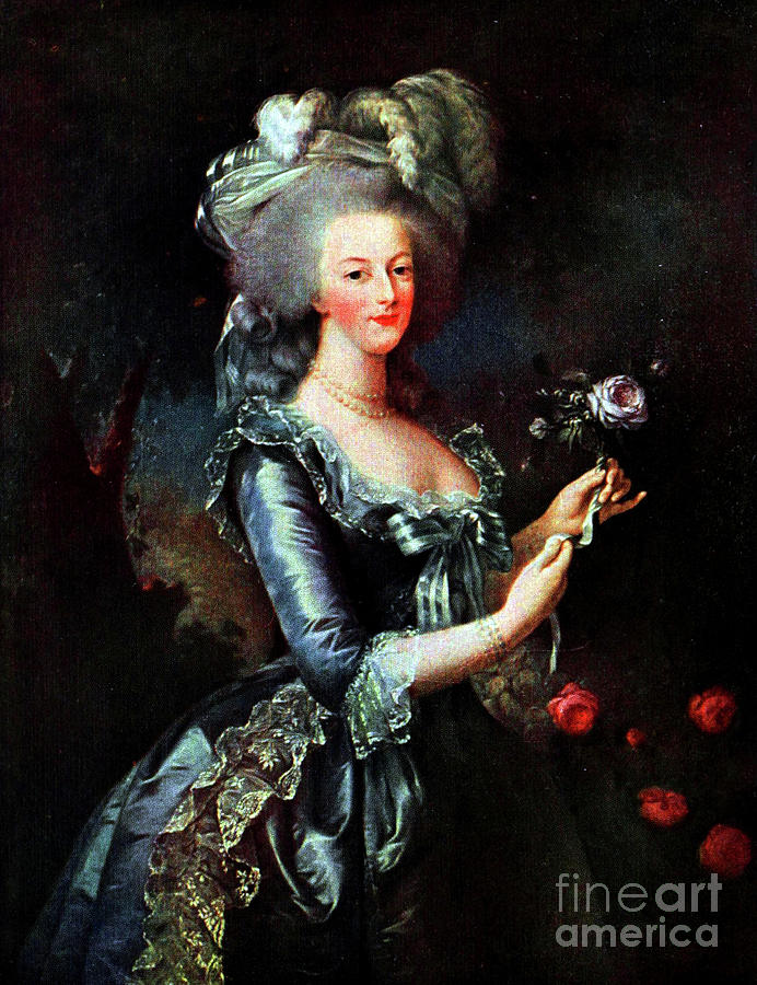 Marie Antoinette - Le Brun Digital Art By Julien Coallier - Fine Art ...