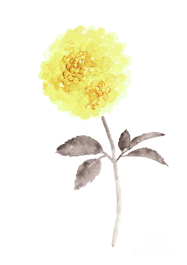 Marigold Yellow Painting - Marigold flower poster, Marigold watercolor painting, Marigold watercolor artwork, Marigold Yellow  by Joanna Szmerdt