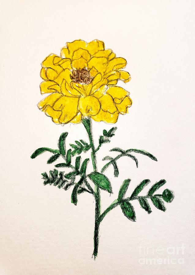 Marigold Painting by Margaret Welsh Willowsilk