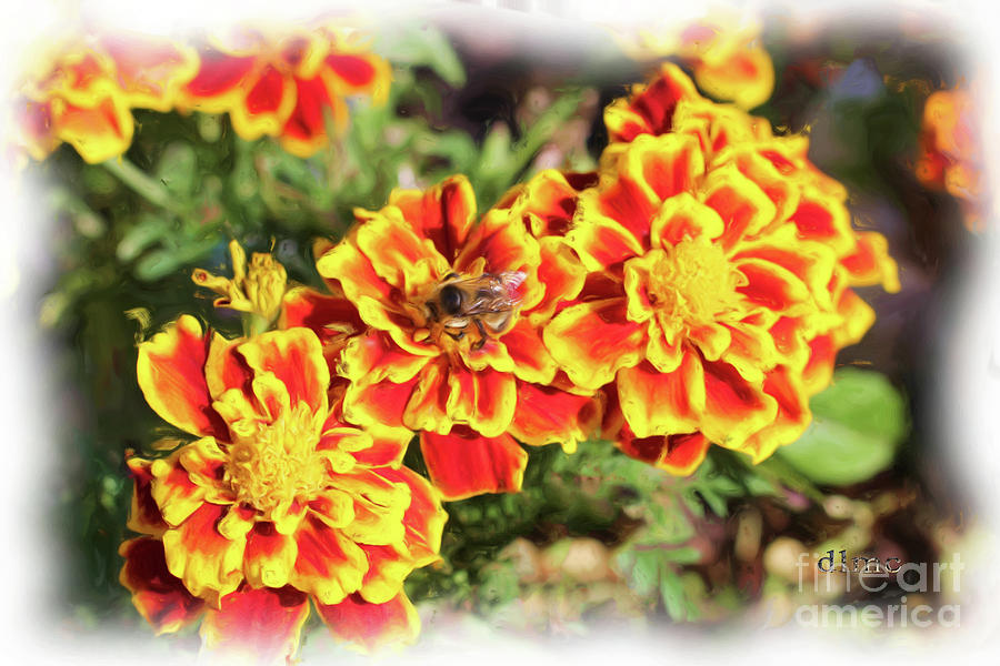 Marigold Three with Bee V2 Painting by Donna L Munro