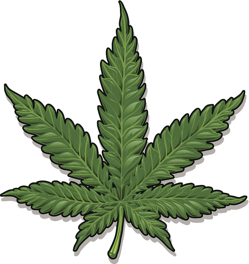 Marijuana Leaf Drawing by XonkArts