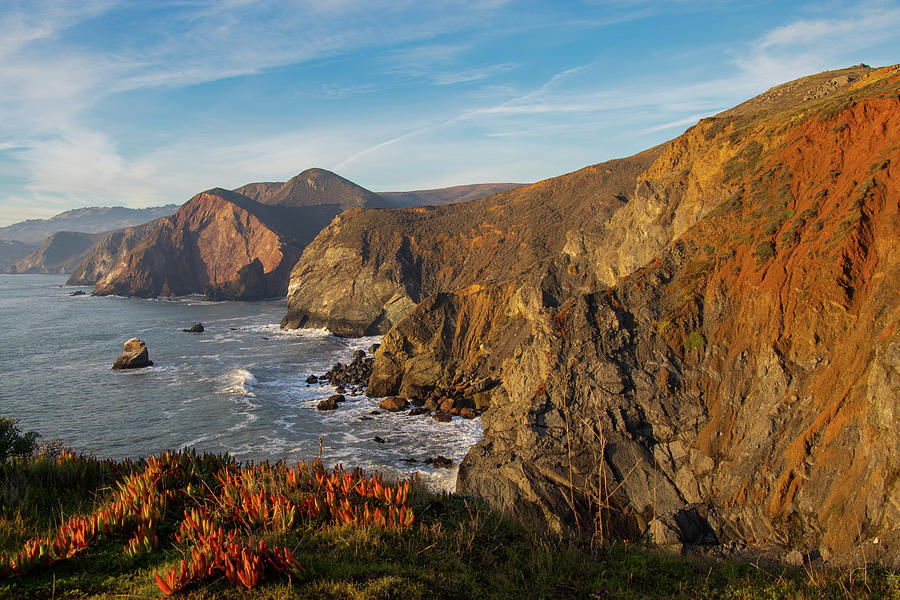 Wildlife Photograph - Marin Headlands by Rod Milstead