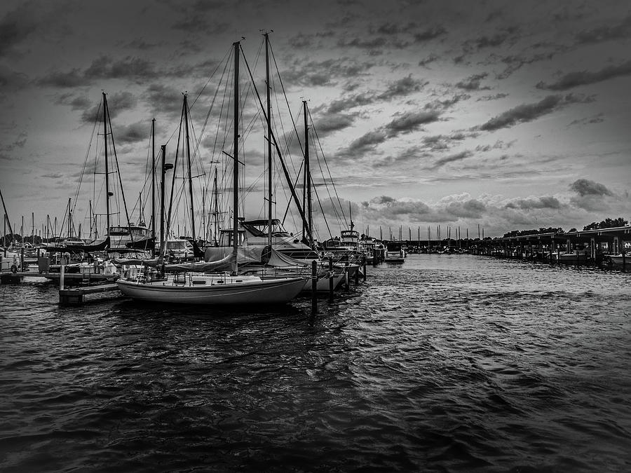 Marina in Black and White Photograph by James C Richardson