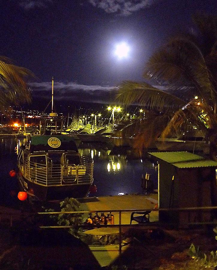 Marina in Moonlight Photograph by Lori Seaman