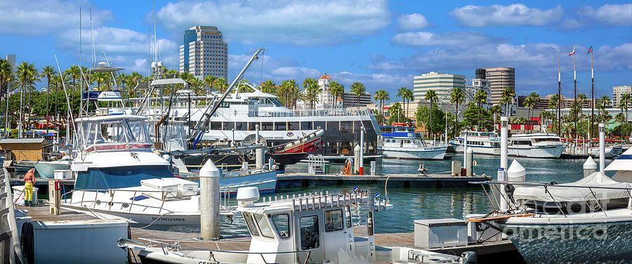 Marina Long Beach Downtown Photograph by David Zanzinger