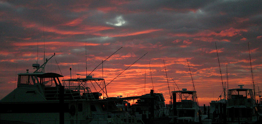 Marina Sunset Silhouette Photograph by Cora Wandel