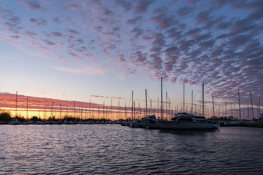 Marina Sunset - Silhouetted Yachts and Breezy Cloud Patterns  Photograph by Georgia Mizuleva