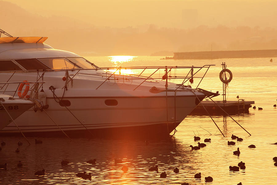 Marina With Yacht At The Sunset Photograph