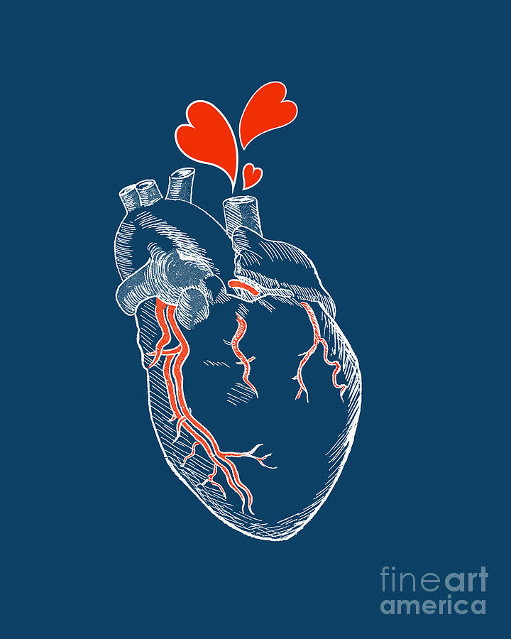 Valentines Day Digital Art - Marine Heart by Madame Memento