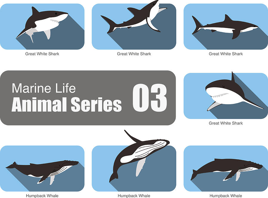 Marine life cartoon collection, vector Drawing by Hakule
