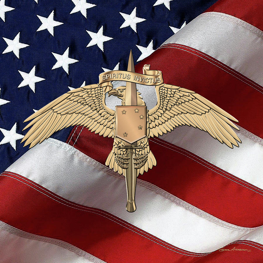 Marine Special Operator Insignia - USMC Raider Dagger Badge over American Flag Digital Art by Serge Averbukh