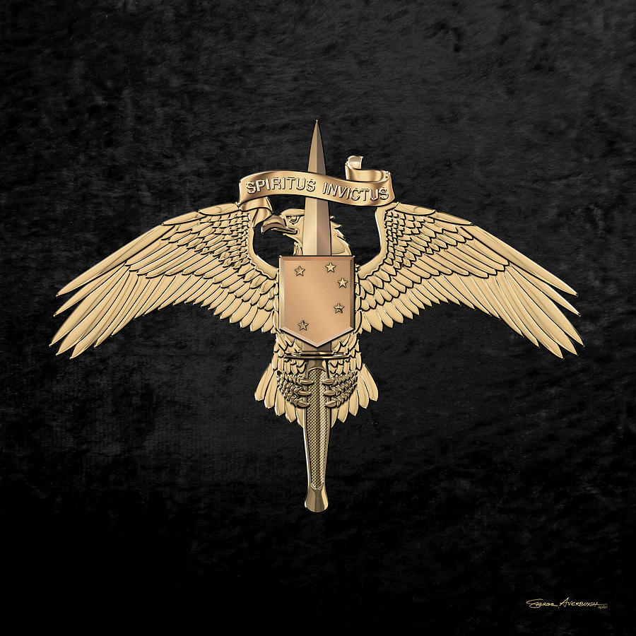 Marine Special Operator Insignia - USMC Raider Dagger Badge over Black Velvet Digital Art by Serge Averbukh