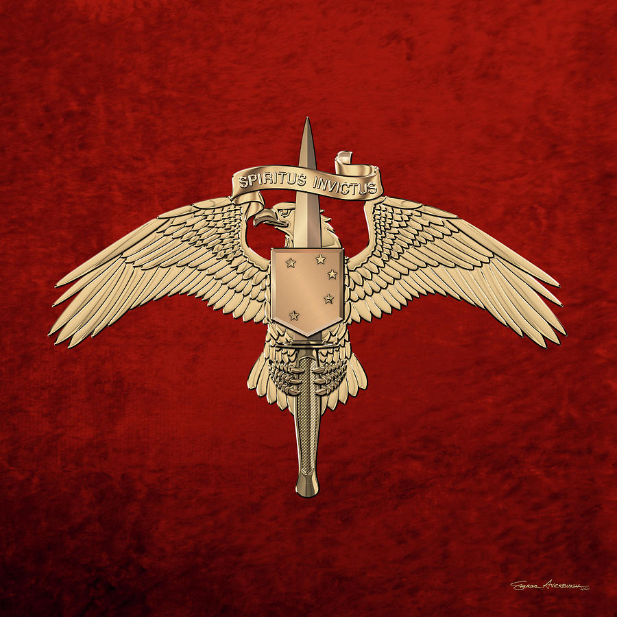 Marine Special Operator Insignia - USMC Raider Dagger Badge over Red Velvet Digital Art by Serge Averbukh