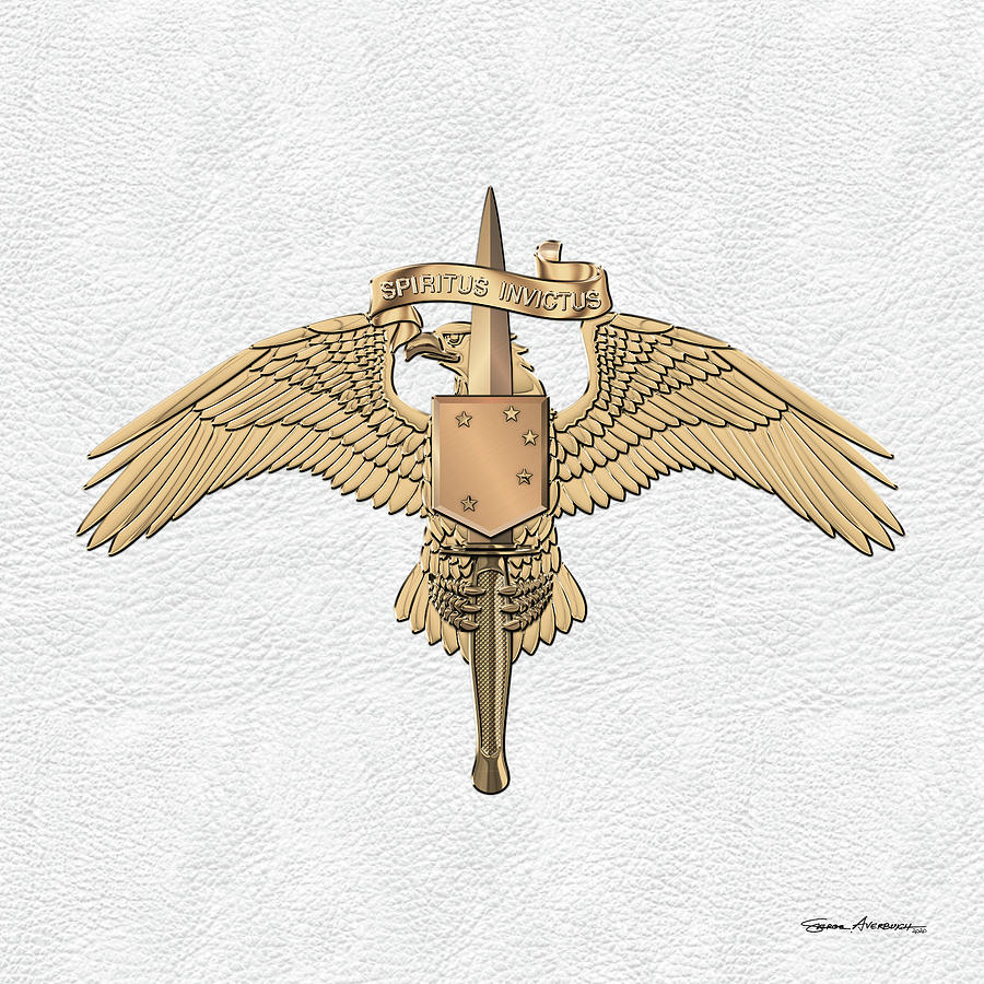 Marine Special Operator Insignia - USMC Raider Dagger Badge over White Leather Digital Art by Serge Averbukh