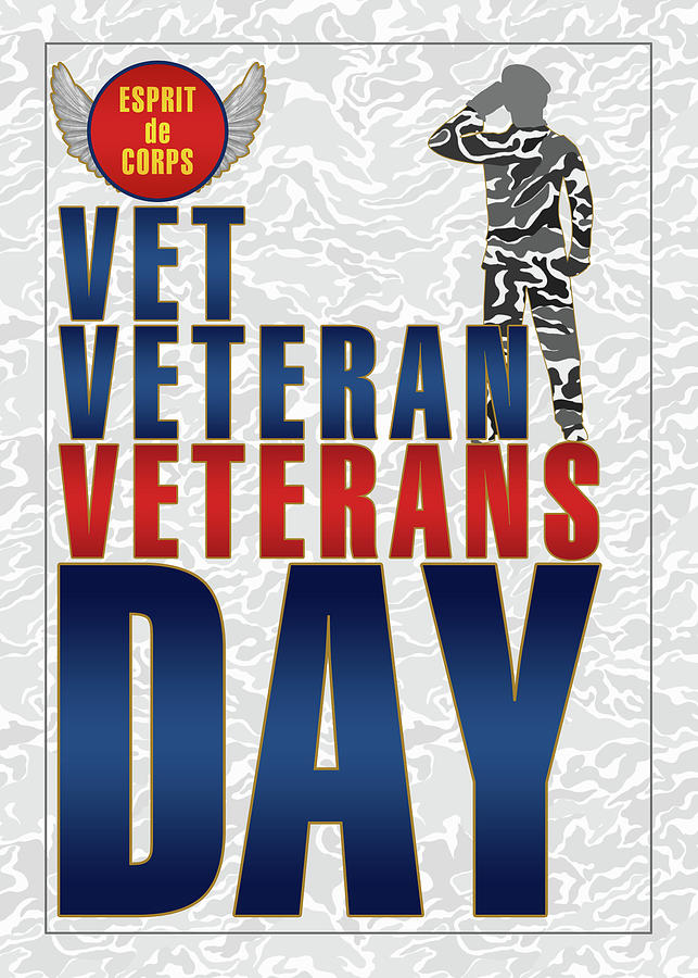 Marine Veterans Day Digital Art by Doreen Erhardt