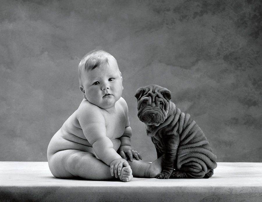 Black & White Photograph - Mark and a Shar-Pei Puppy by Anne Geddes