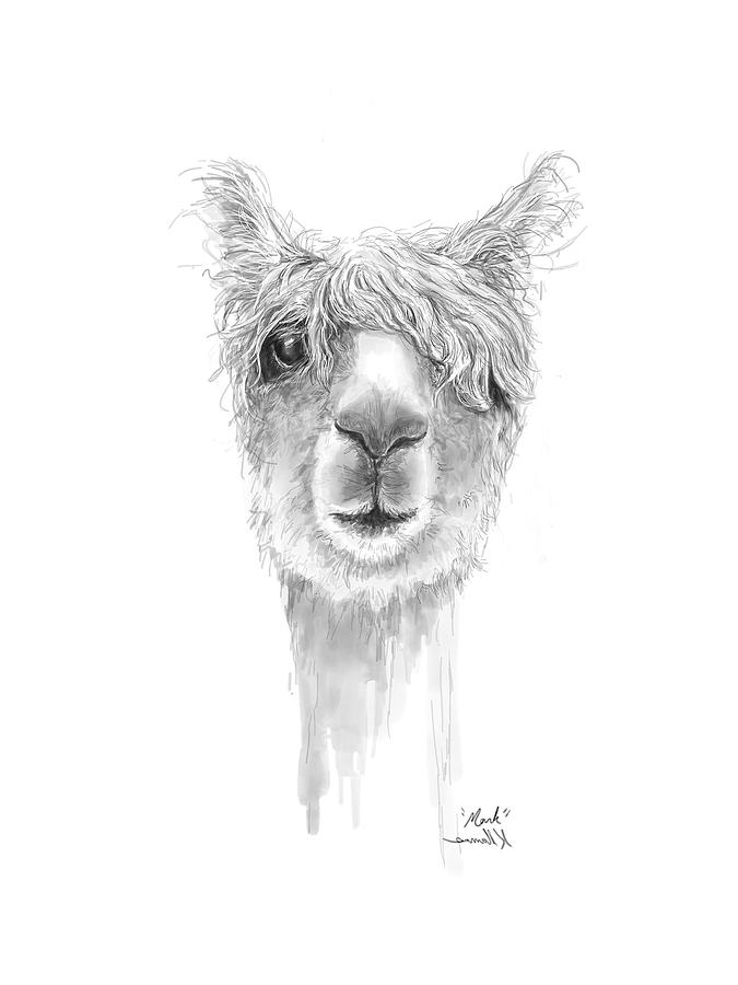 Llama Drawing - Mark by Kristin Llamas