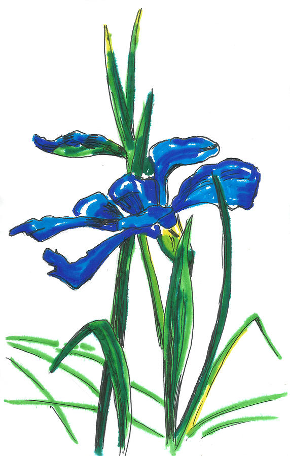 Markers Sketch Flower Painting by Masha Batkova