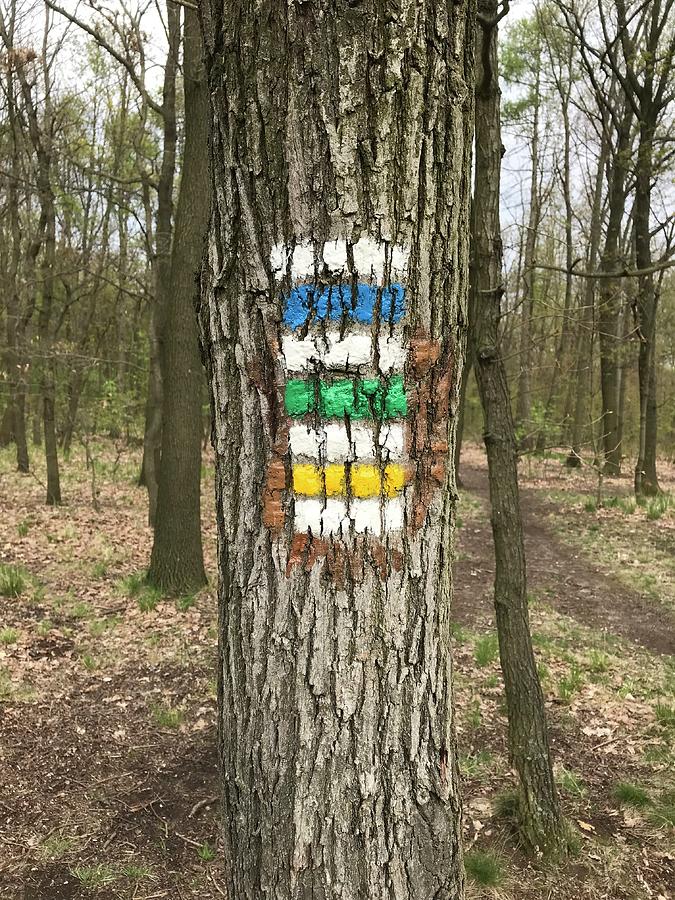 Marking Of Tourist Routes In Czechia Photograph By Jan Dolezal Fine Art America 