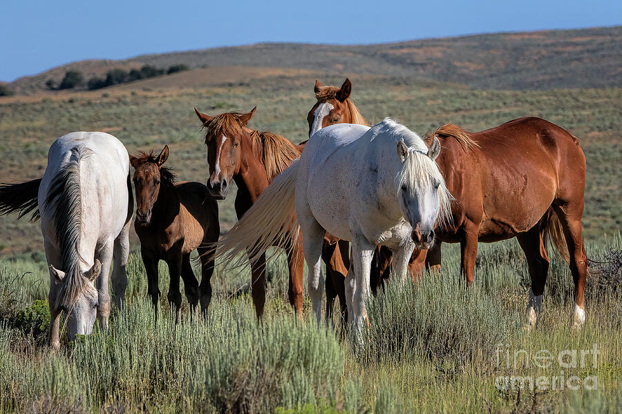 Marking Time by Jim Garrison Marking Time by Jim Garrison