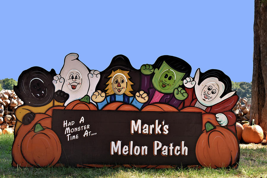 Marks Melon Patch Photograph by Kathy K McClellan