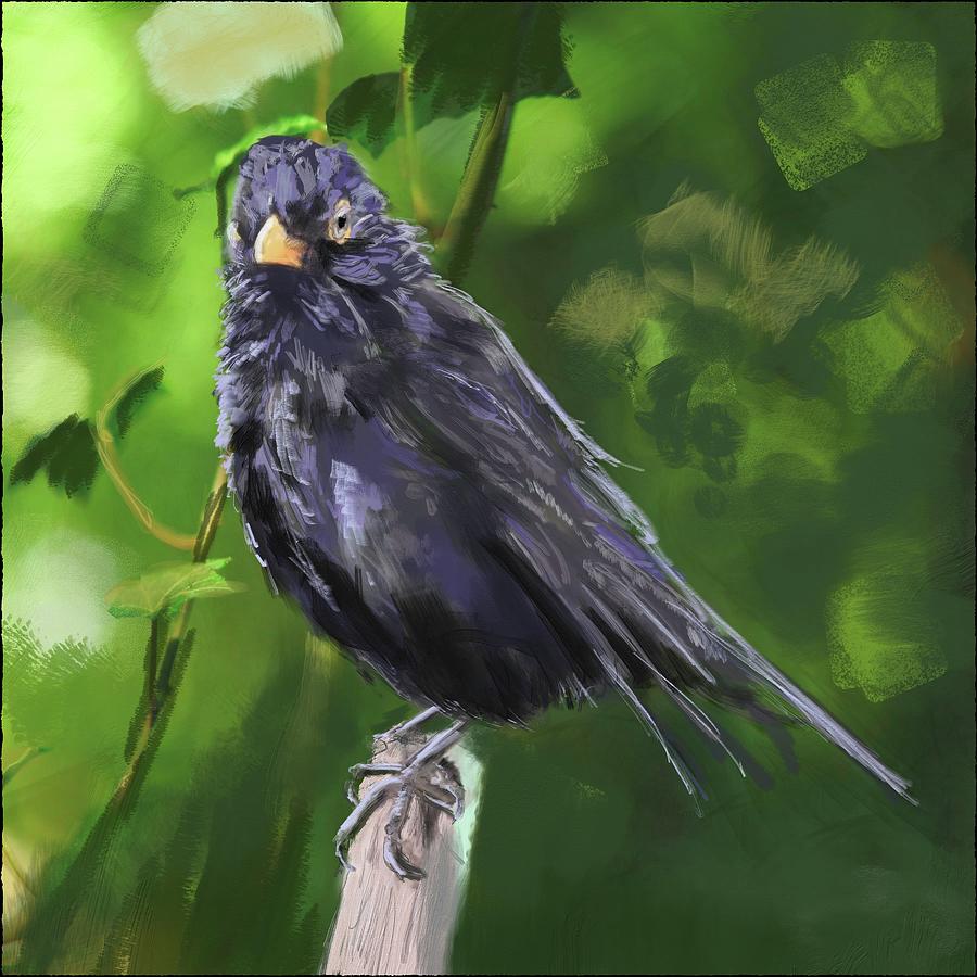 Marle aka Scottish Blackbird Painting by Rob Hartman
