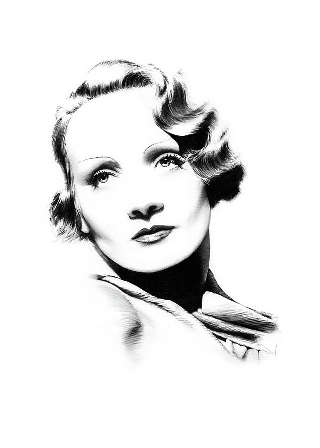 Hollywood Drawing - Marlene Dietrich by Dirk Richter