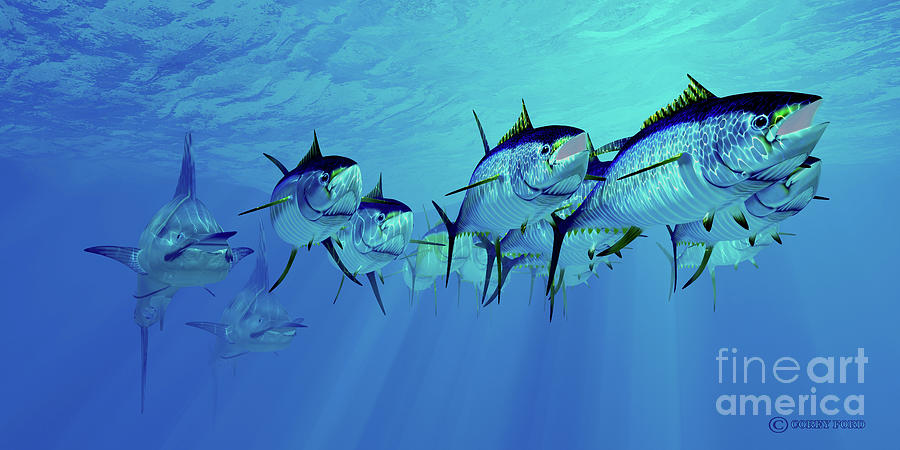 Marlin after Yellowfin Tuna School Digital Art by Corey Ford