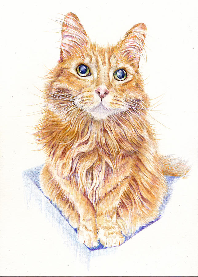 Marmalade Cat - The Silent Miaow Painting by Debra Hall