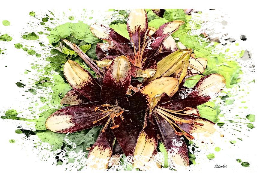 Maroon Asiatic Lily Painting