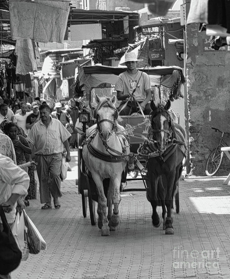 Marrakesh Morocco Tourist Horse Buggy  Photograph by Chuck Kuhn