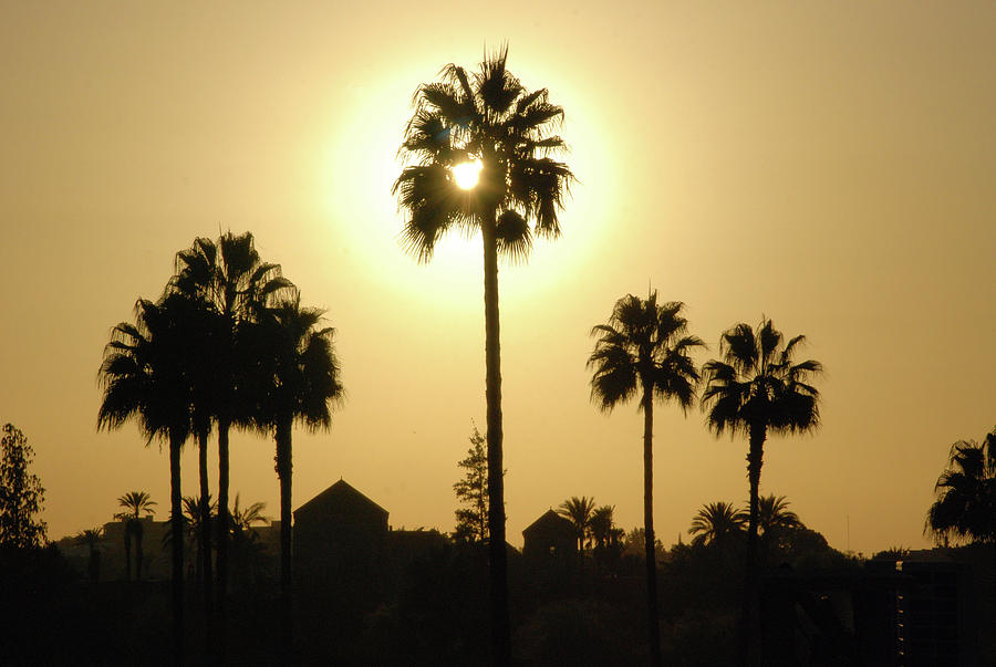 Marrakesh Sunset Photograph by Six Months Of Walking