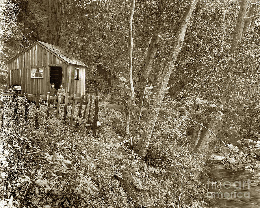 Cabin Photograph - Marry B. Sweatmans cabin,  Big Sur,  September 23, 1905 by Monterey County Historical Society