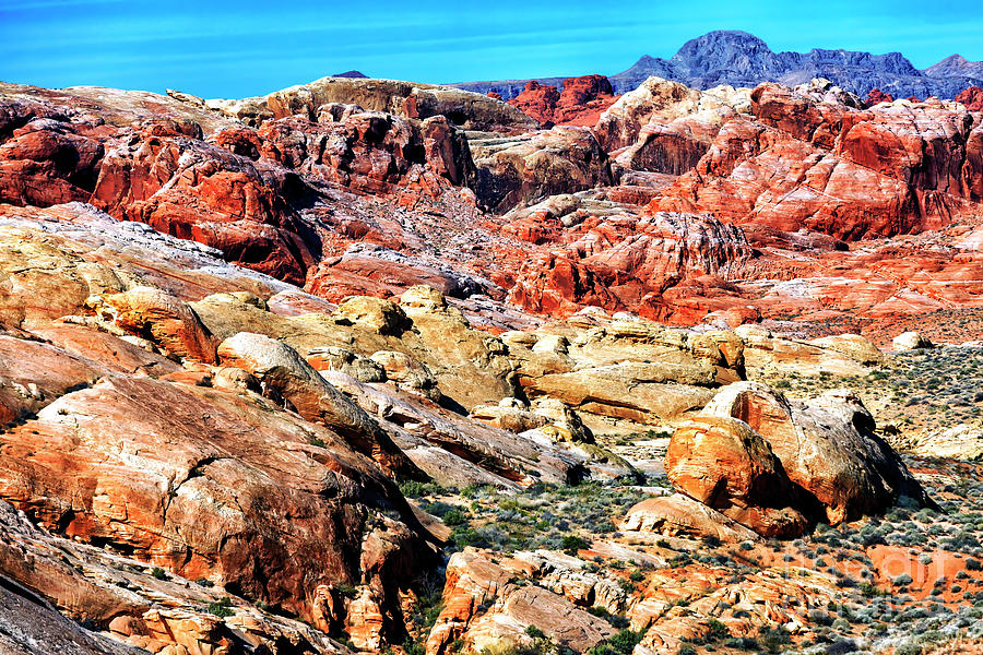 Mars on Earth at the Valley of Fire State Park Photograph by John Rizzuto