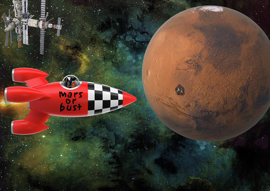 Mars or Bust on ARK 2 Photograph by James Bethanis