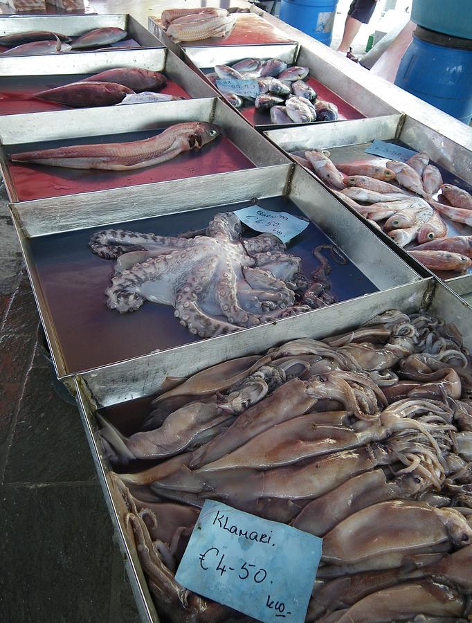 Marsaxlokk fish market Photograph by Lisa Mutch